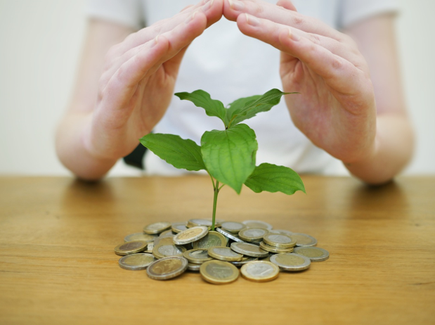 Investing in Brazil with Low Risk: A Step-by-Step Guide