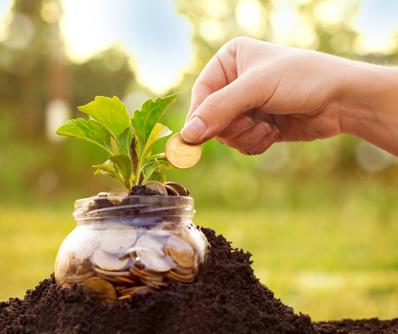 Average Savings by Age: How Does Your Savings Measure Up?